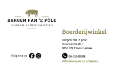 Visite kaartje Bargen fan 'e pole.png