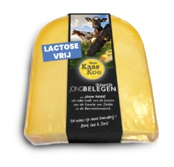 Jong_belegen_lactosevrije_kaas3.jpg