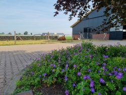 Boerderij Hoogenraad_Eetvandeboer (1).jpg