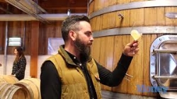 Controle cider Cider Drinks.jfif