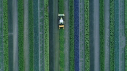 Strokenteelt helicopterview.jpg