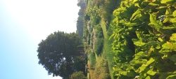 20220727_075059.jpg