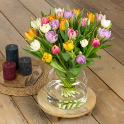 tulpen_dubbel_gemengd.jpg