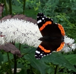 20200930_151612.jpg