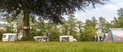 _NFF8786 b lr klein bestand.jpg