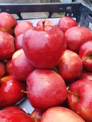 JNER8232.JPG