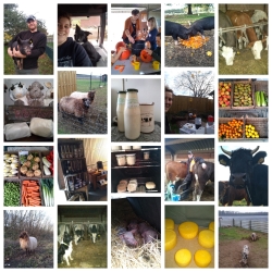 photocollage_202012622740793.jpg