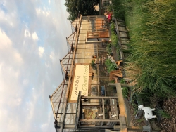 tuinderijdegroenzoom.jpg