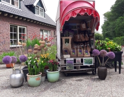 De Bloembol Kraam Stalletje (2).jpg