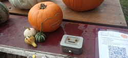 IMG20201002145258.jpg