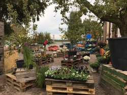 Buitenwinkel_VinkFruitboerderij.JPG