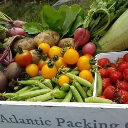 IMG_20210218_124243_750.jpg