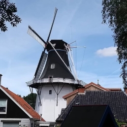 molen.jpg