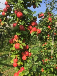 2016-09-21 13.36.29.jpg