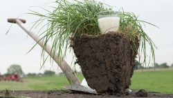 foto website.jpg
