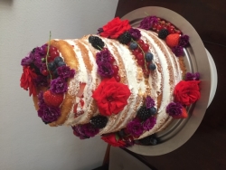 Naked cake.JPG