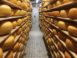 Jumbo 4.jpg