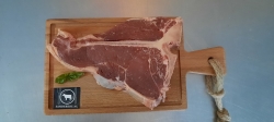 T-Bone-Sanderkoe-scaled.jpg