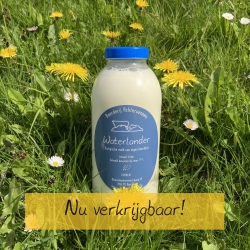 Fles melk.jpg