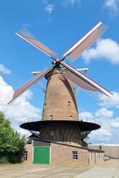koninginwilhelmina_groot.jpg