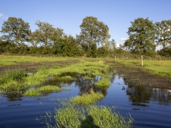 natuurvijvers landbouw en biodiversiteit cursus water vasthouden.jpg