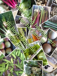 photocollage_202062114020163.jpg