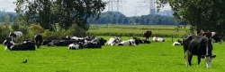 foto bedrijf franneke biowijzer.jpg