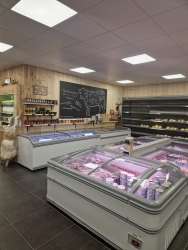 winkel 2023 2.jpg