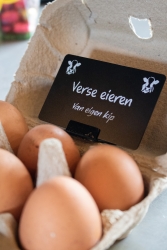 Foto assortiment 1.jpg