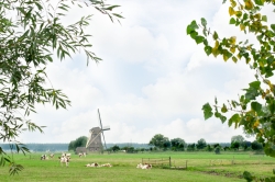 De Willigen Logies-11.jpg