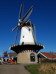februari 2019.jpg