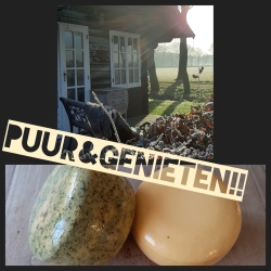 winkeltje + kaas.jpg