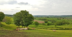 20200503_124141 1200x614.jpg