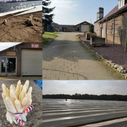 Boerderij Houben.jpg