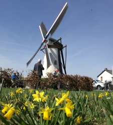 IMG_20180407_154209.jpg