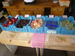 Boerderijwinkel Manders 8.jpg