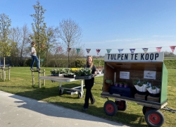 Schermafbeelding 2020-11-19 om 21.14.11.png