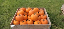 IMG20201002145210.jpg