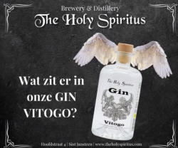 20210621 Gin vitogo.PNG