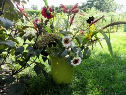 20140805_42.JPG