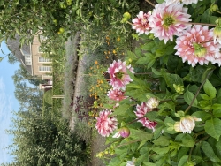 2021-08-04 08.42.25.jpg