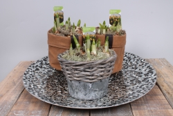 Plantenbakje van textiel en zinkrieten bakje met narcissen.JPG