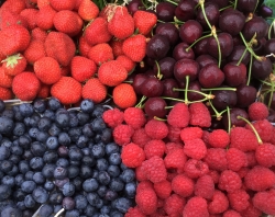 Zomerfruit1.jpg