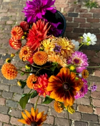 D22603AC-019B-4004-B5C2-330E395B3C1E.jpeg