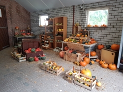 20190907_142207.jpg