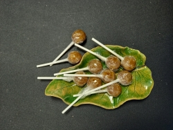 Honing met Propolis lolly's, Honing-en-zo.com.jpg