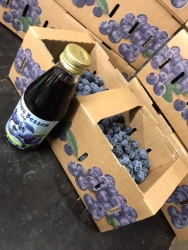 Hemmes2.jpg