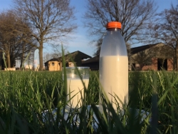 melk.jfif