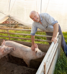 vader Gert met varken.jpeg